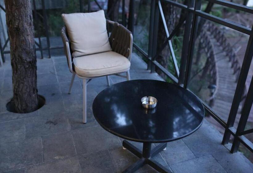 스탠다드 룸 산 전망, Kasauli Hills Resort