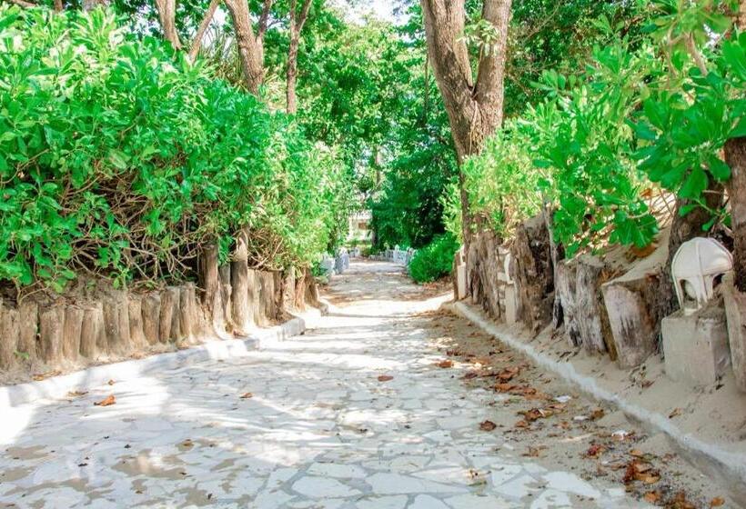 Номер Стандарт Вид на Бассейн, Riviera Del Mar