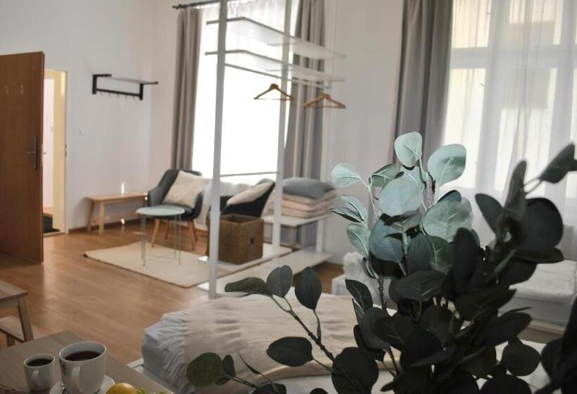 带1个卧室的高级公寓, 7 Nights Apartments Dominikánské N