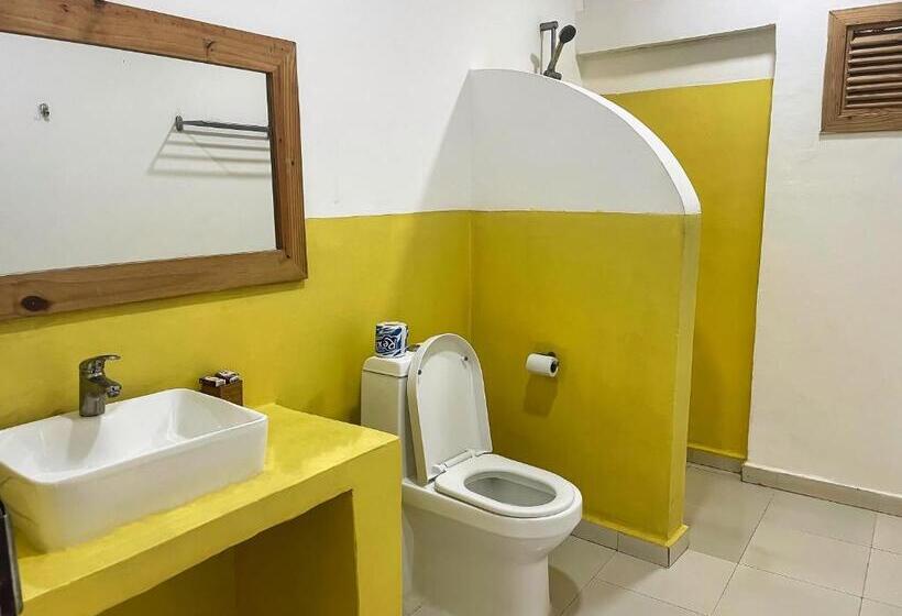 اتاق اکونومی, Avo Boutique