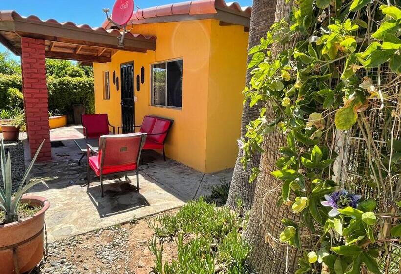 ویلای استاندارد با چشم‌انداز باغ, Rancho El Campanario En La Ruta Del Vino