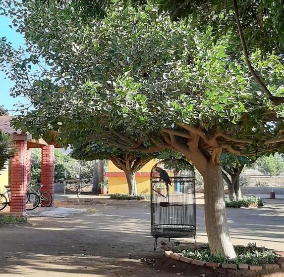 اتاق عادی, Rancho El Campanario En La Ruta Del Vino