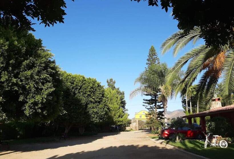 اتاق عادی, Rancho El Campanario En La Ruta Del Vino
