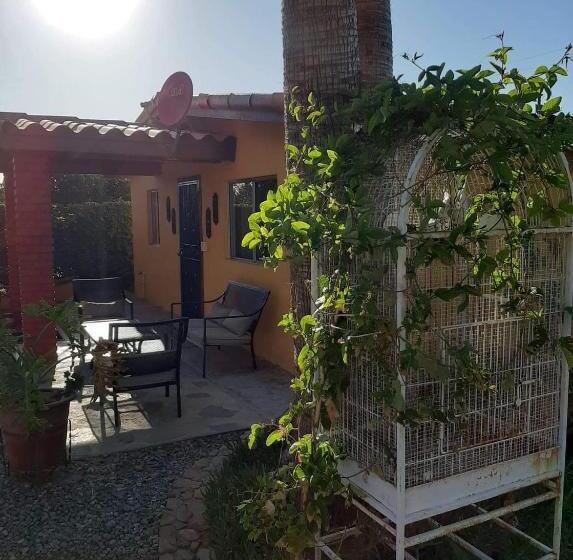 ویلای استاندارد با چشم‌انداز باغ, Rancho El Campanario En La Ruta Del Vino
