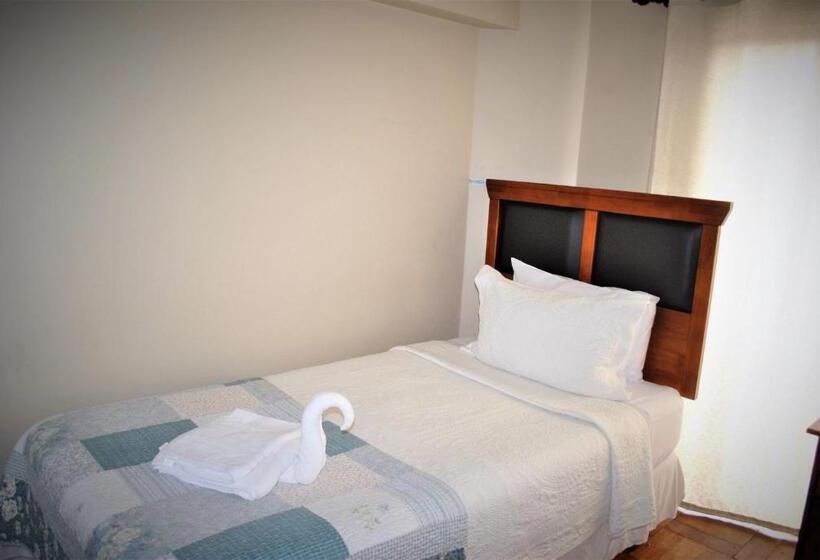 Номер Стандарт Совместная Ванная, Hostal Pehuenche