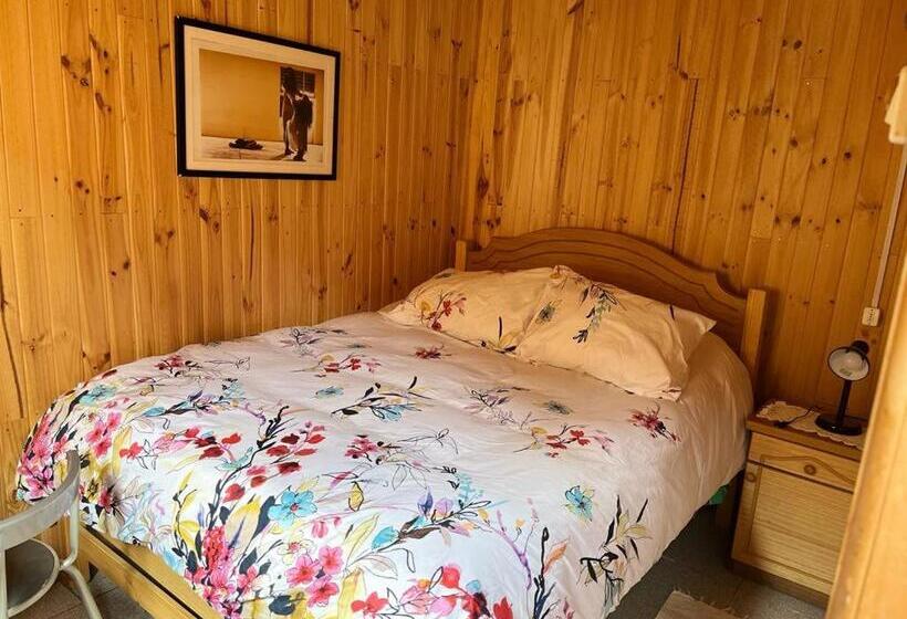 Номер Стандарт, Hostel San Felipe