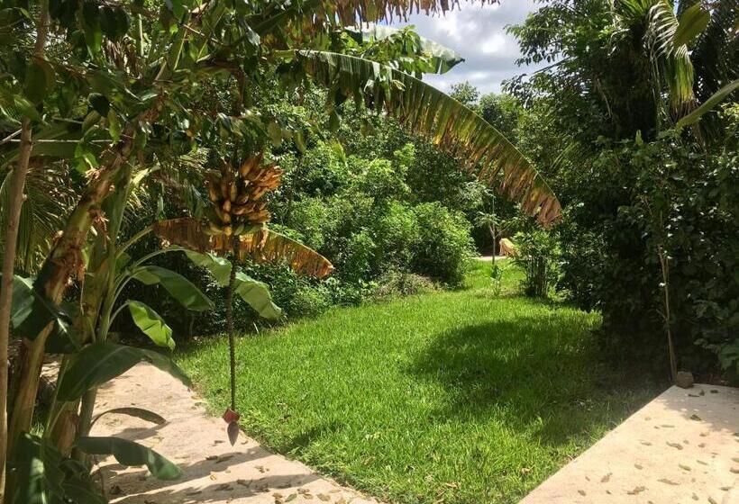 标准工作室, Casa Maya Calakmul