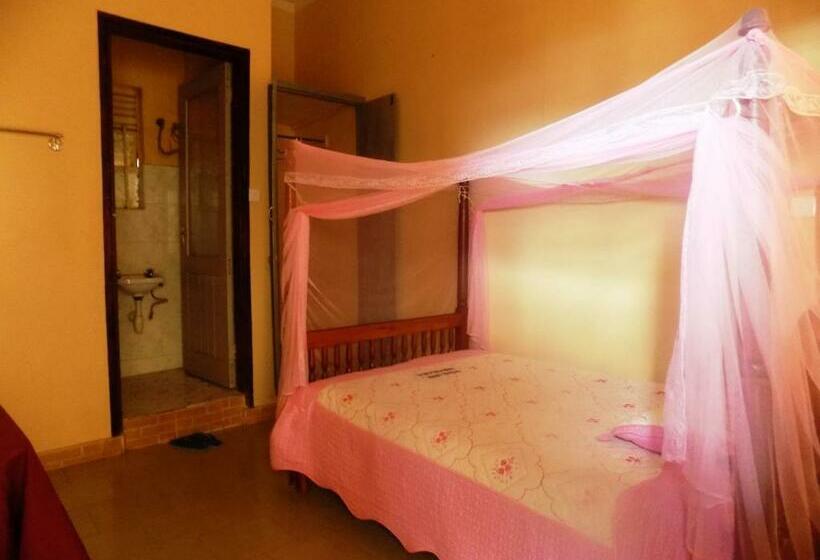 اتاق استاندارد یک نفره, Vine Inn