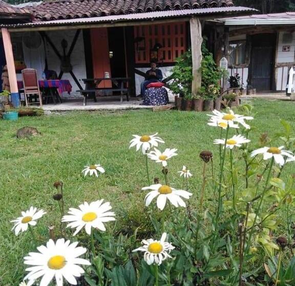 Студио Стандарт с Балконом, Tarragona Hostal