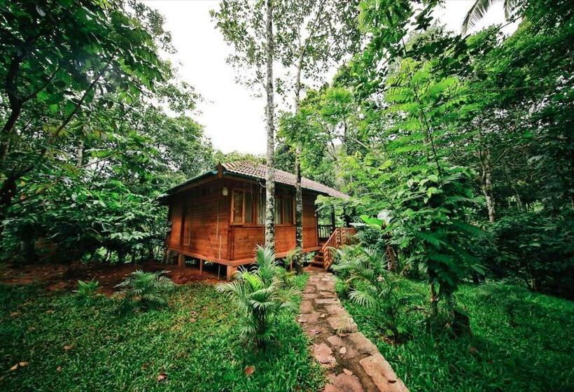 家庭间, Bamboo Creek Resort