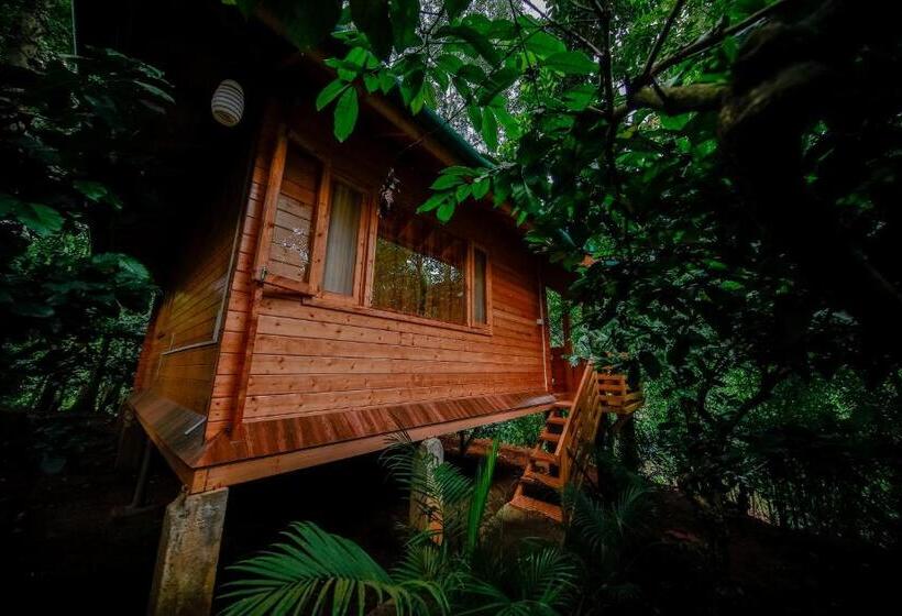 家庭间, Bamboo Creek Resort