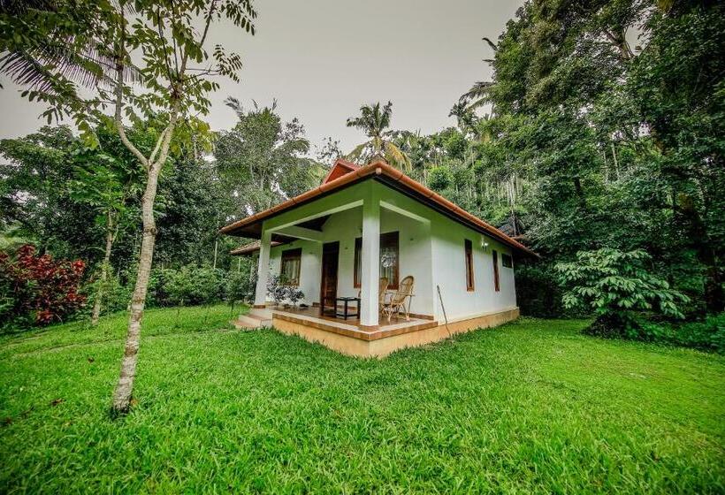 家庭房带园景, Bamboo Creek Resort