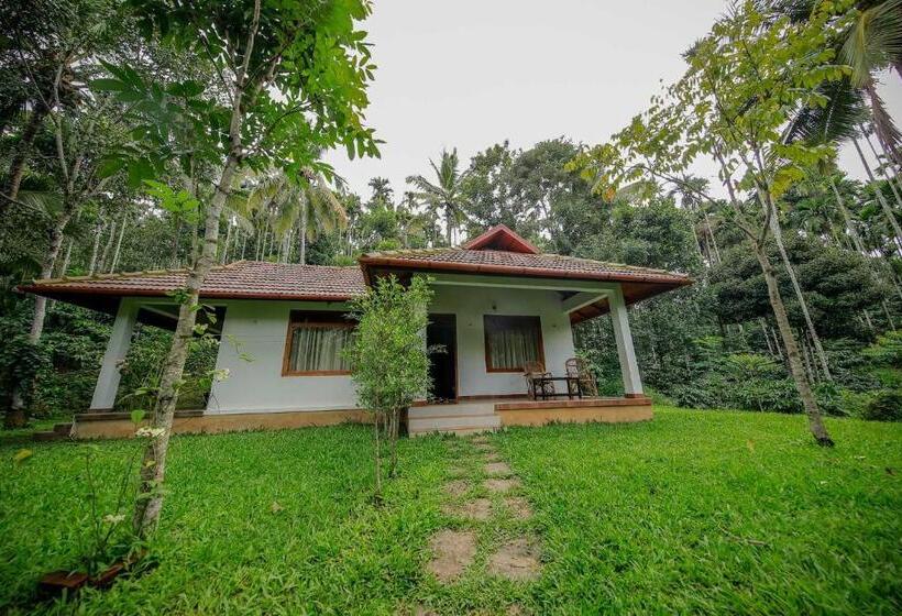 Семейный Номер Вид на Сад, Bamboo Creek Resort