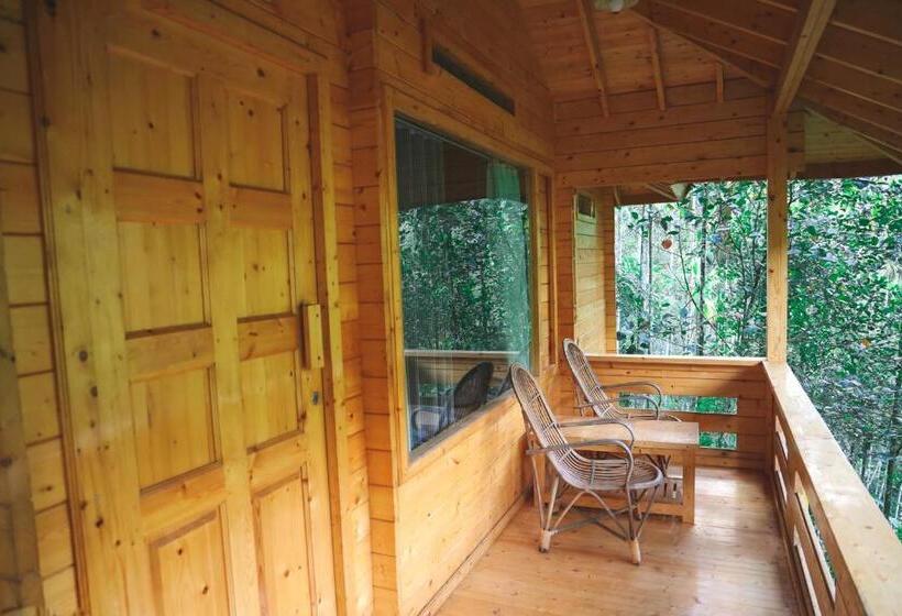 带大床的标准间, Bamboo Creek Resort
