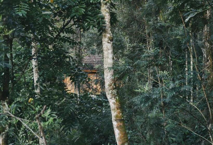带大床的标准间, Bamboo Creek Resort