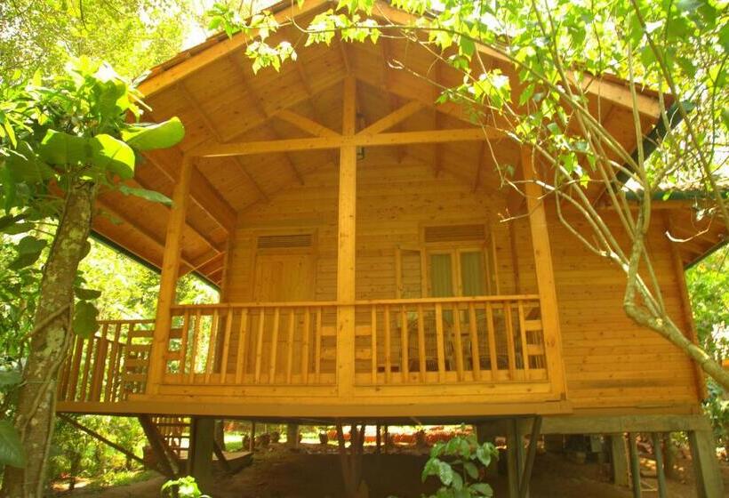 家庭间, Bamboo Creek Resort