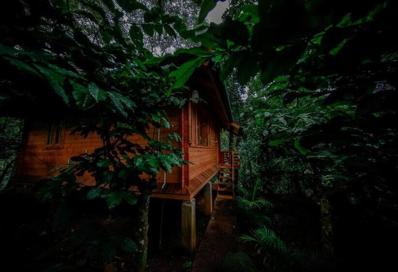 Семейный Номер, Bamboo Creek Resort