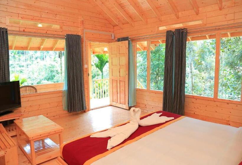带大床的标准间, Bamboo Creek Resort