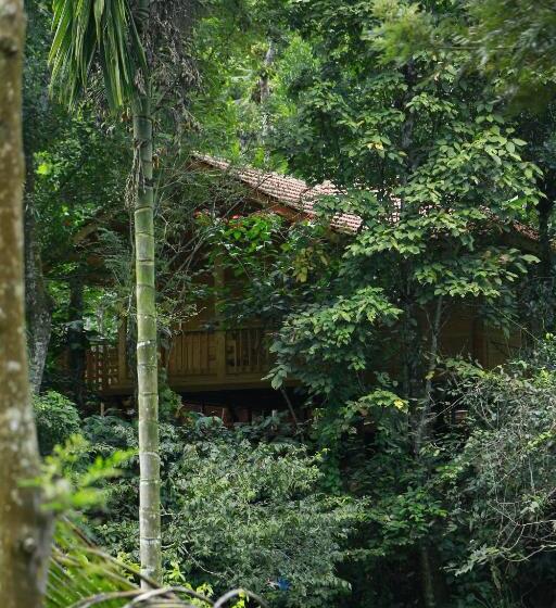 家庭间, Bamboo Creek Resort