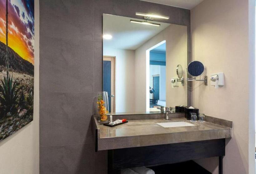 ماستر سويت, Tryp By Wyndham San Luis Potosi Hotel & Suites