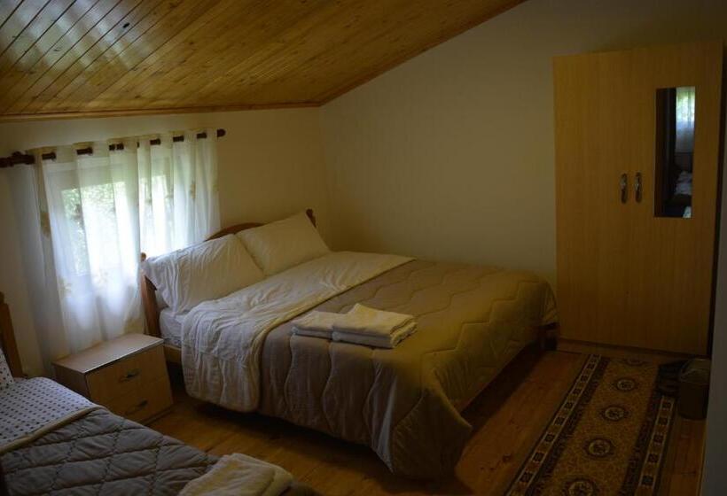 マウンテンビューデラックスルーム, Peraj Guesthouse