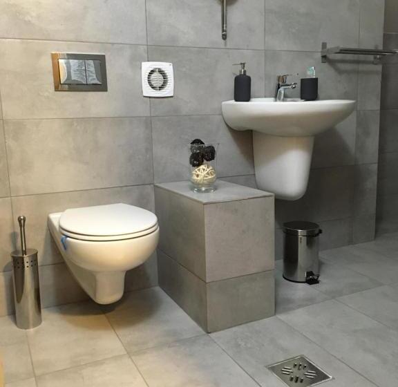 اتاق استاندارد با تخت بزرگ, Net Hotel Pitesti