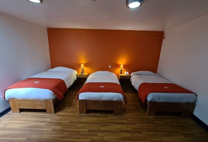 4인용 스탠다드 룸, Casa Campesina