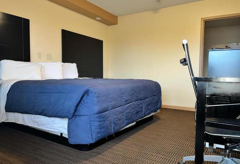 디럭스 스위트 킹 침대, Circle Motor Lodge