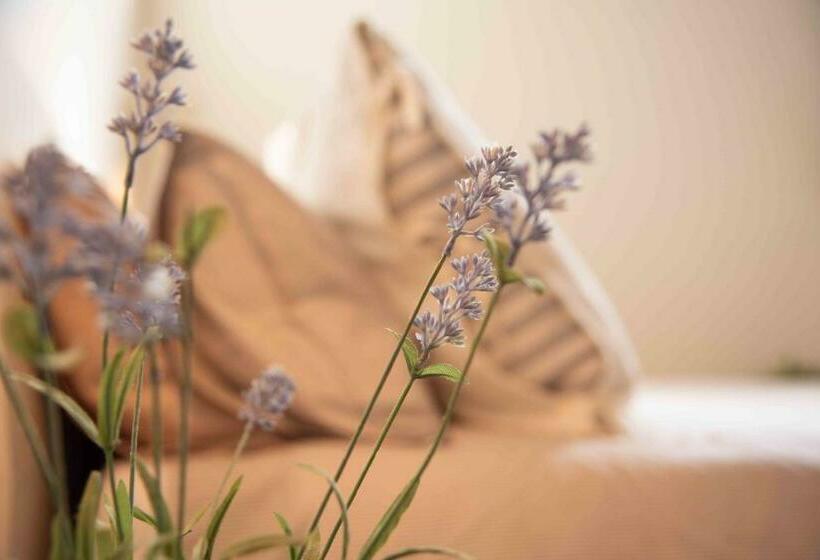 Полулюкс, B&b Relais Druda