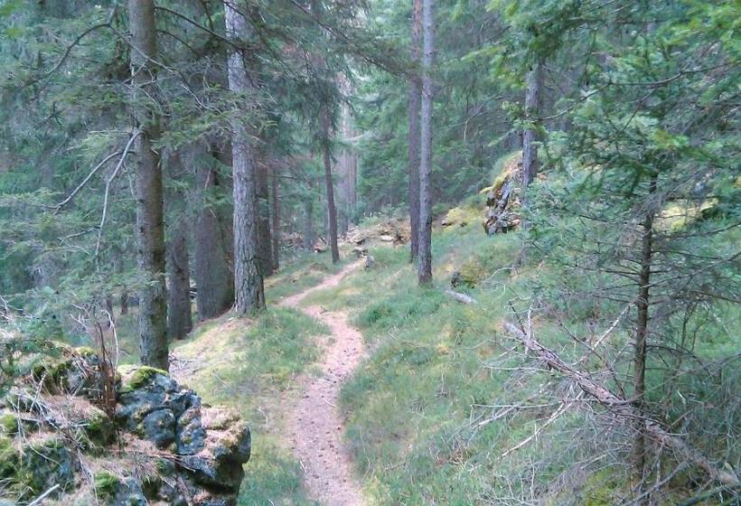 آپارتمان 1 خوابه, Guesthouse Seghetto
