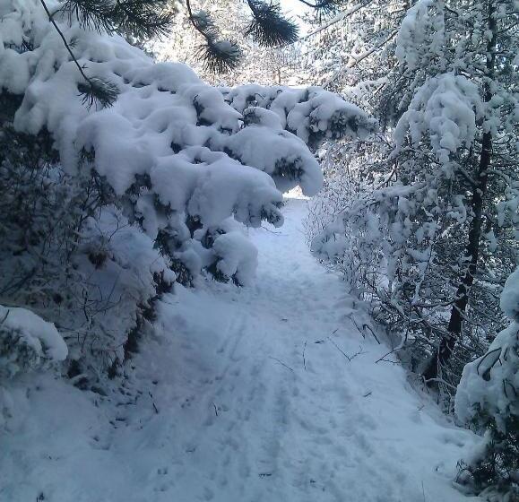 آپارتمان 2 خوابه, Guesthouse Seghetto