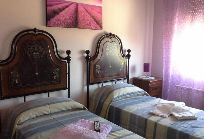 Quarto Estandar Individual, B&b Ciccilia