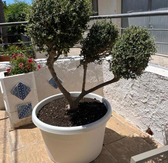 اتاق استاندارد سه نفره, La Pergola B&b