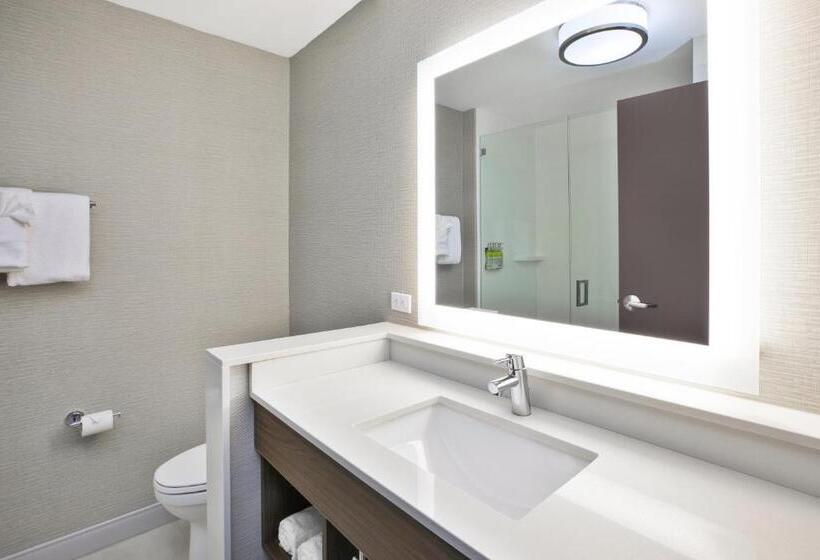 Quarto Estandar, Holiday Inn Express & Suites Okemos   University Area, An Ihg