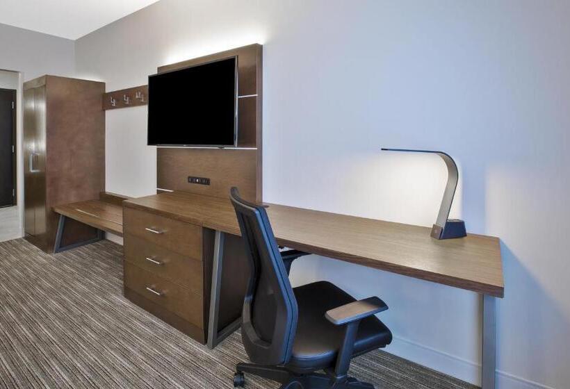 Suíte Superior, Holiday Inn Express & Suites Okemos   University Area, An Ihg