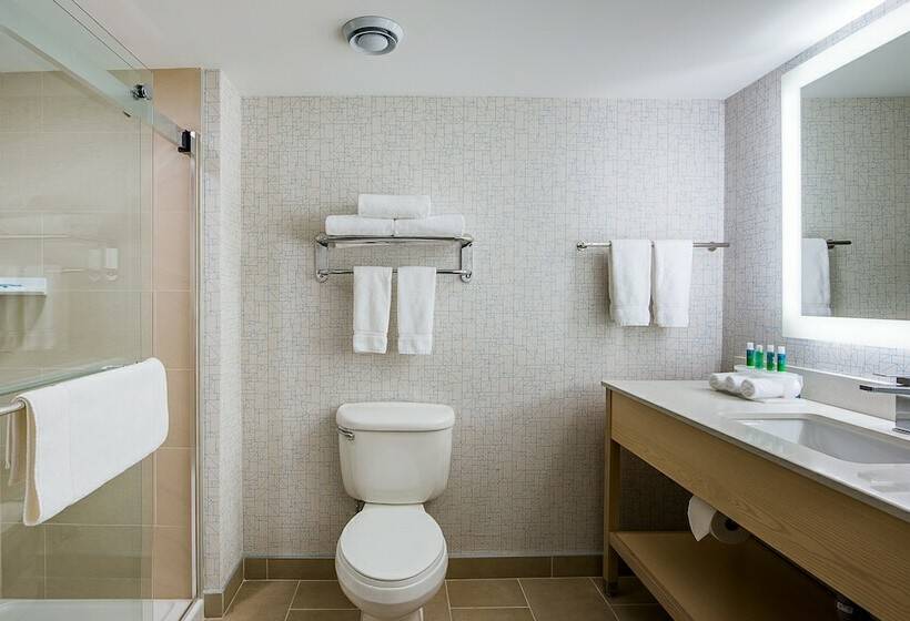 ２ダブルベッドのスタンダードルーム, Holiday Inn Express & Suites S Lake Buena Vista, An Ihg