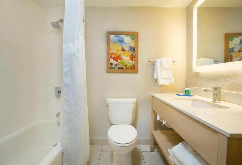 Номер Стандарт Кровать Кинг Адаптированный для Инвалидов, Holiday Inn Express & Suites S Lake Buena Vista, An Ihg