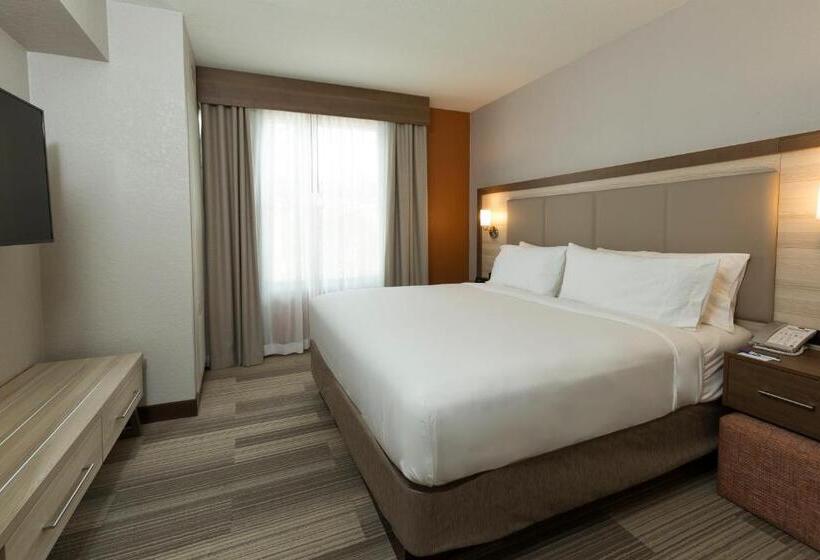 身障者適用キングサイズベッドルーム, Holiday Inn Express & Suites S Lake Buena Vista, An Ihg