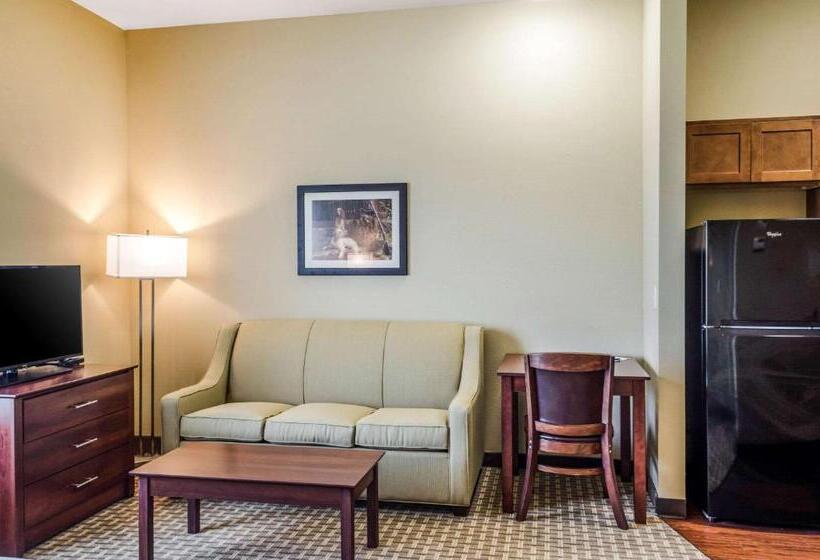 장애인을 위한 스위트, Mainstay Suites Hackberry Sportsman's Lodge