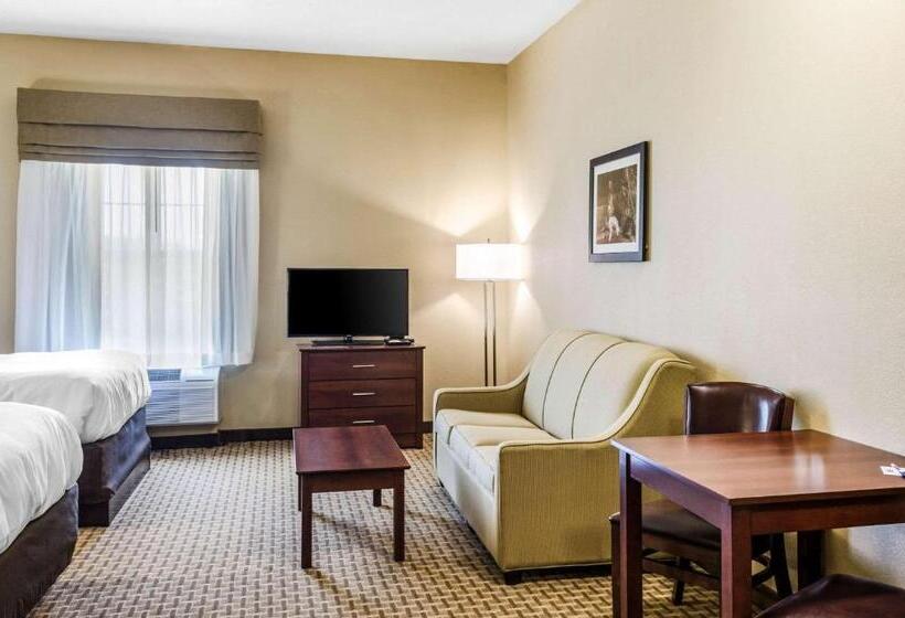 장애인을 위한 스탠다드 룸, Mainstay Suites Hackberry Sportsman's Lodge