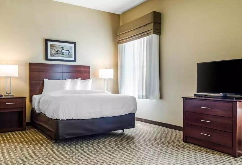 스위트, Mainstay Suites Hackberry Sportsman's Lodge