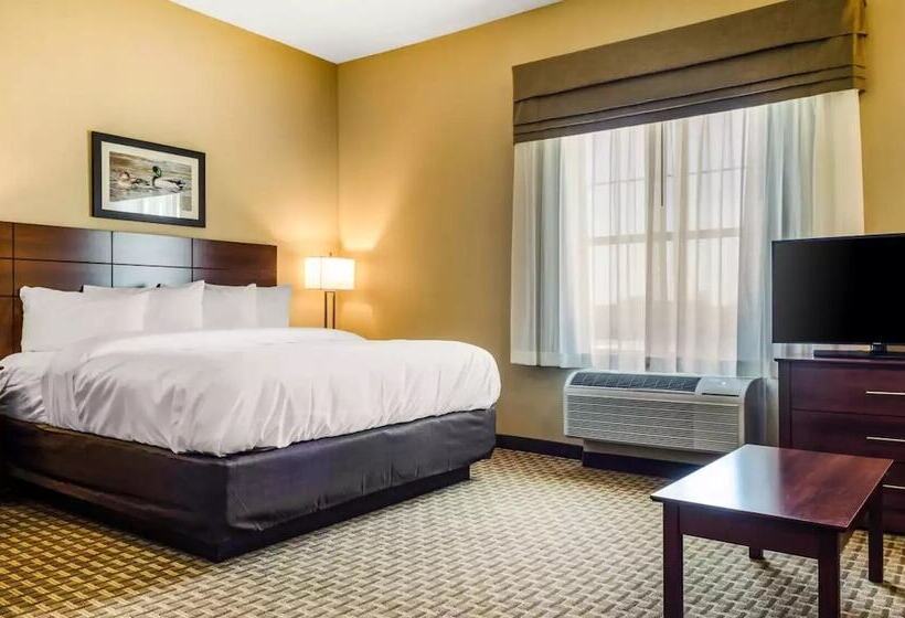 스위트, Mainstay Suites Hackberry Sportsman's Lodge
