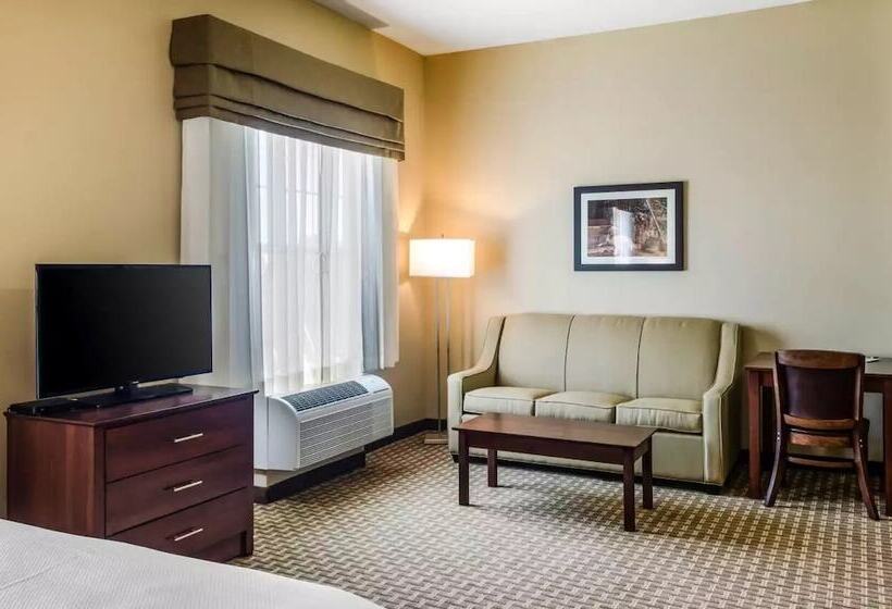 장애인을 위한 스위트, Mainstay Suites Hackberry Sportsman's Lodge