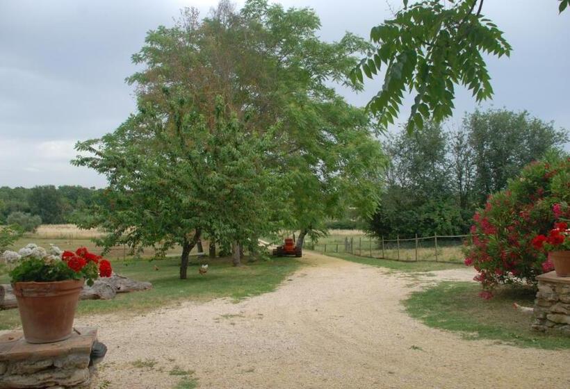 Apartamento 1 Dormitório, Podere Conte Racani