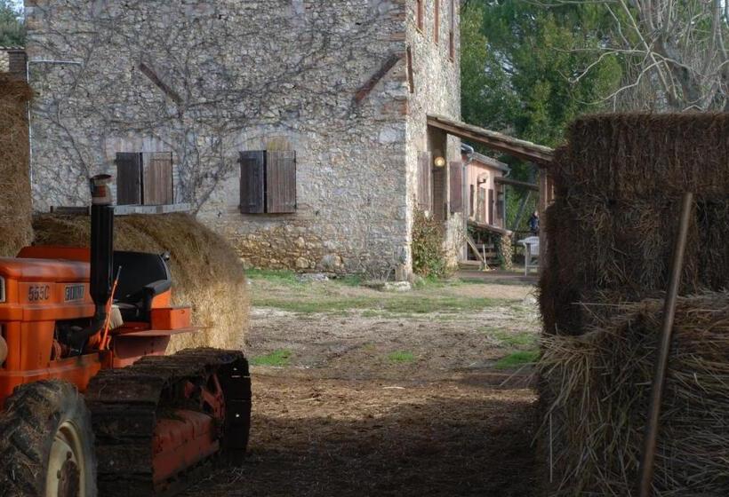 Apartamento 2 Dormitórios, Podere Conte Racani