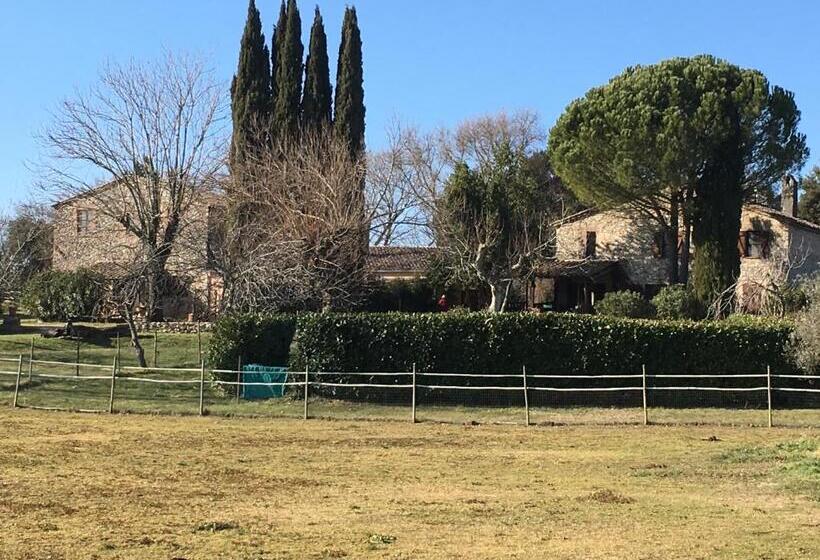 Apartamento 2 Dormitórios, Podere Conte Racani