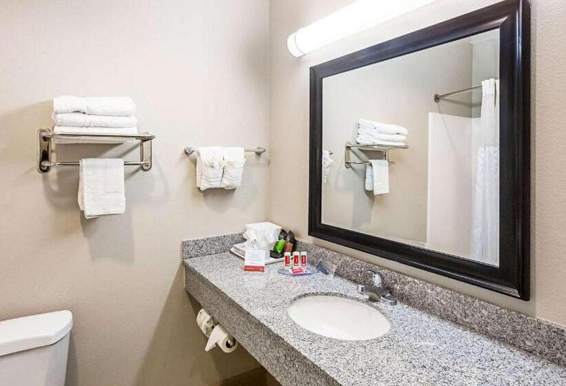 스탠다드 룸, Econo Lodge Baton Rouge University Area