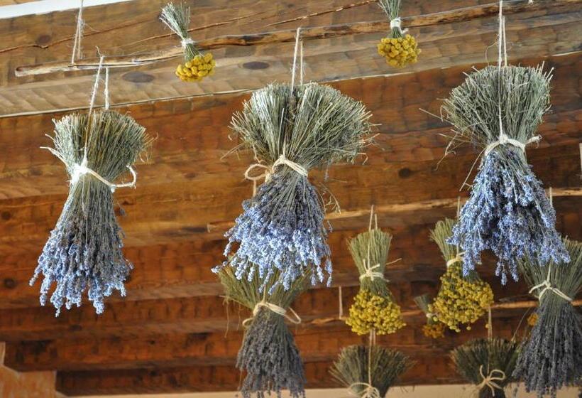 Номер Стандарт, Rural Y Spa La Senda De Los Caracoles