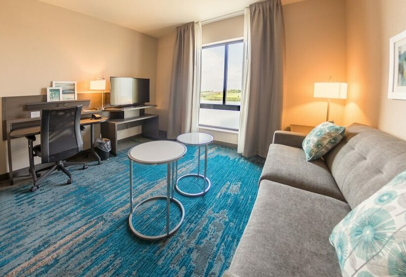 Люкс, Fairfield Inn & Suites By Marriott Des Moines Altoona
