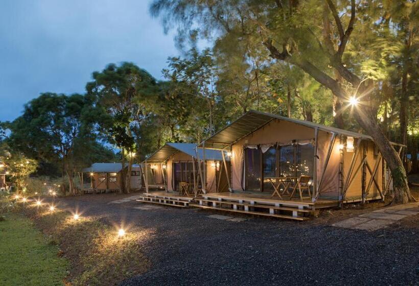 غرفة بريميوم رباعية, Solina Beach & Nature Resort